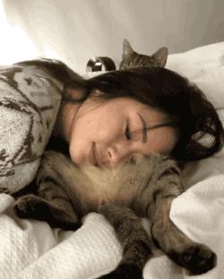 这3种猫很可怕有钱都不建议养,再喜欢也千万别养的4种猫