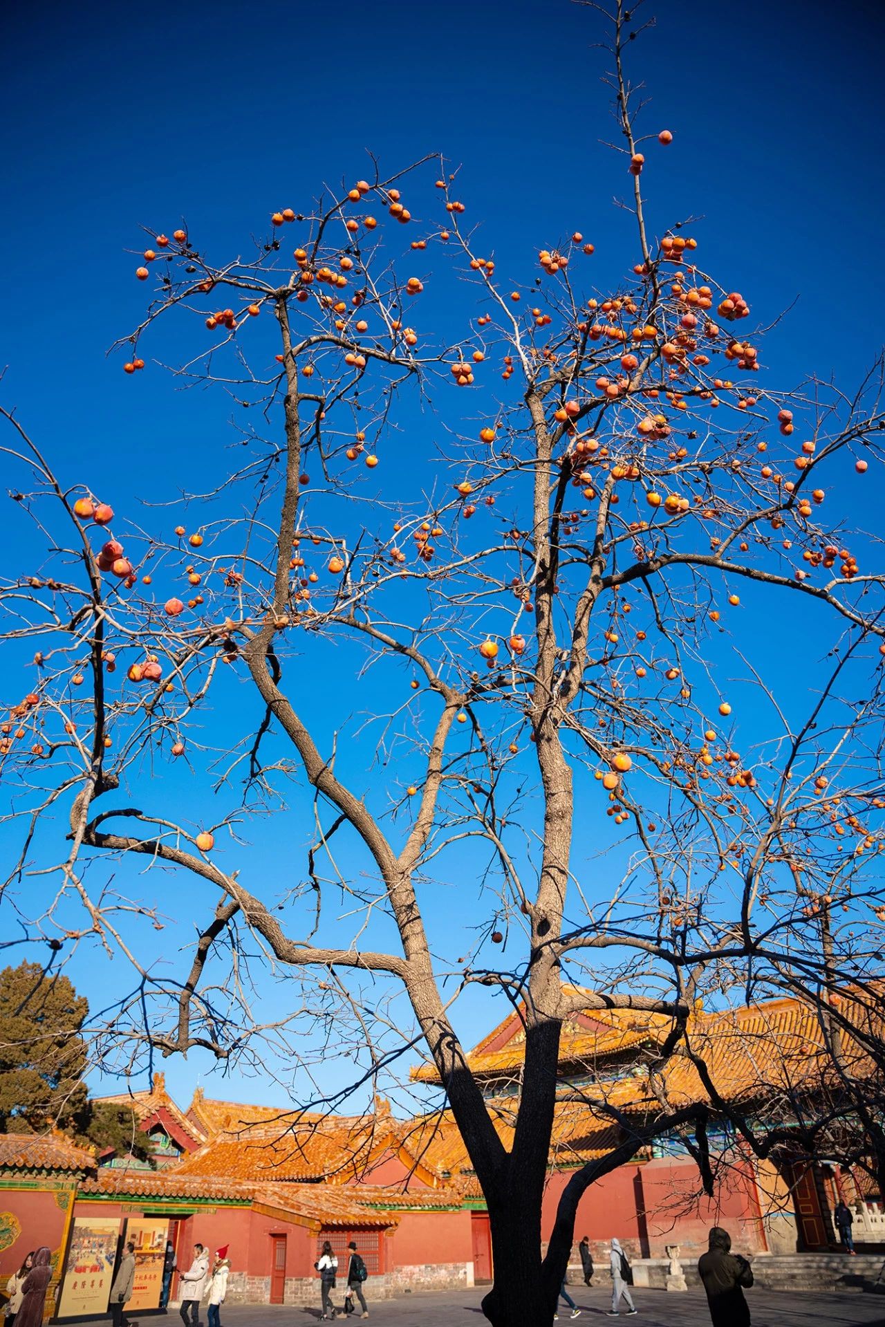 适马24-702.8一代评测,适马24-70f2.8dhsm测评