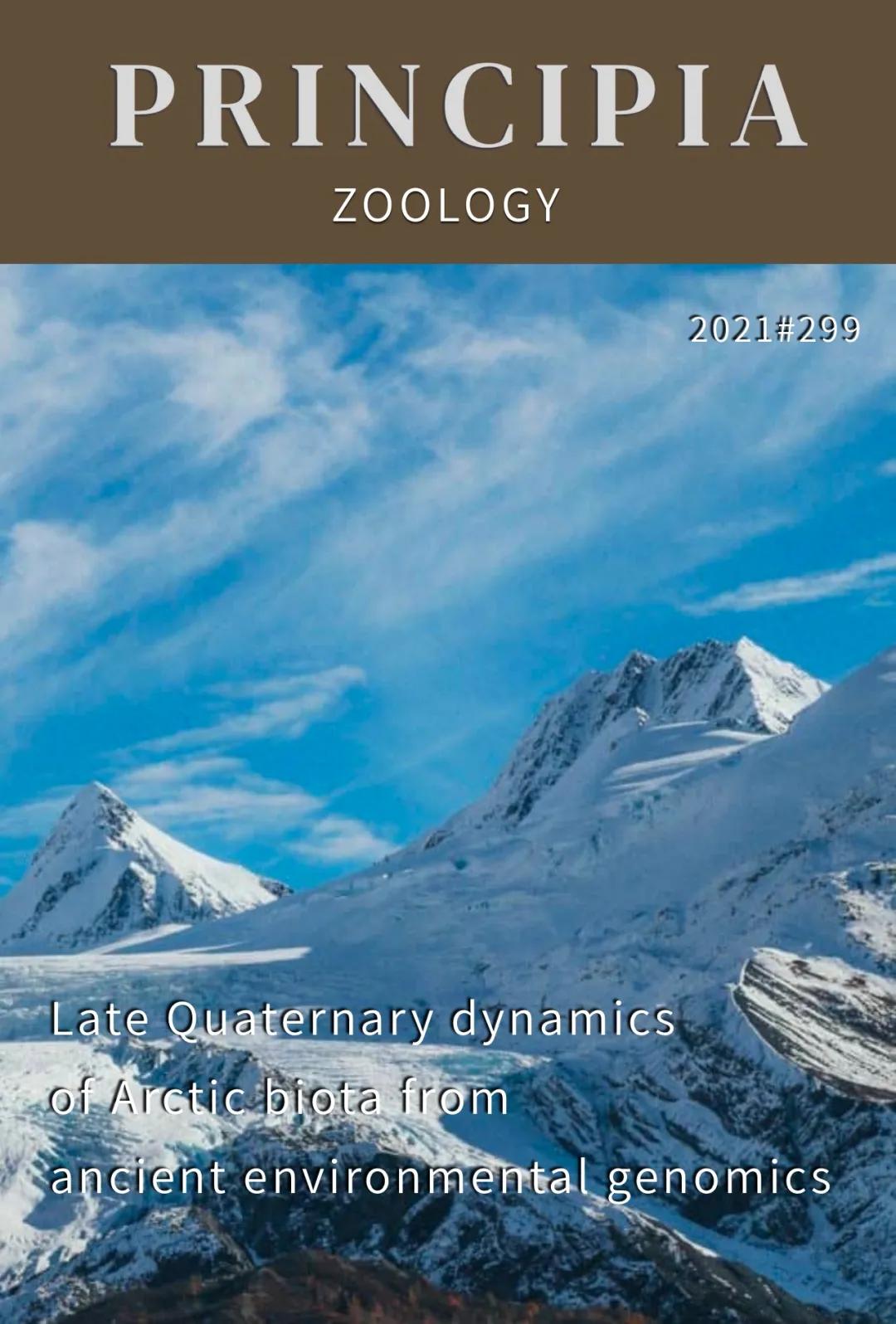 猛犸象灭绝的原因,导致猛犸象灭绝最可能原因