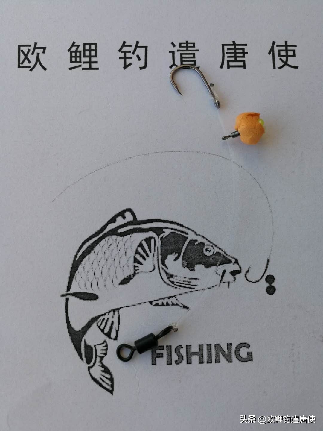 欧鲤钓钓组篇,欧鲤钓组和飞德钓组