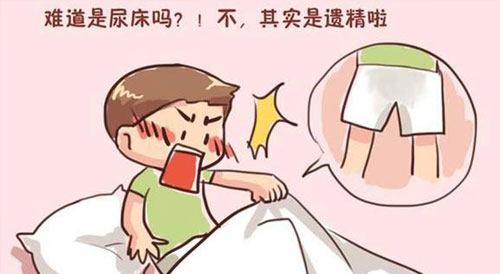 男性梦遗是什么情况下导致的,男性什么情况下梦遗