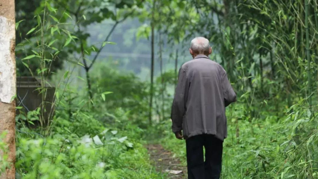 他曾险遭土匪活埋！九旬老兵寻救命恩人