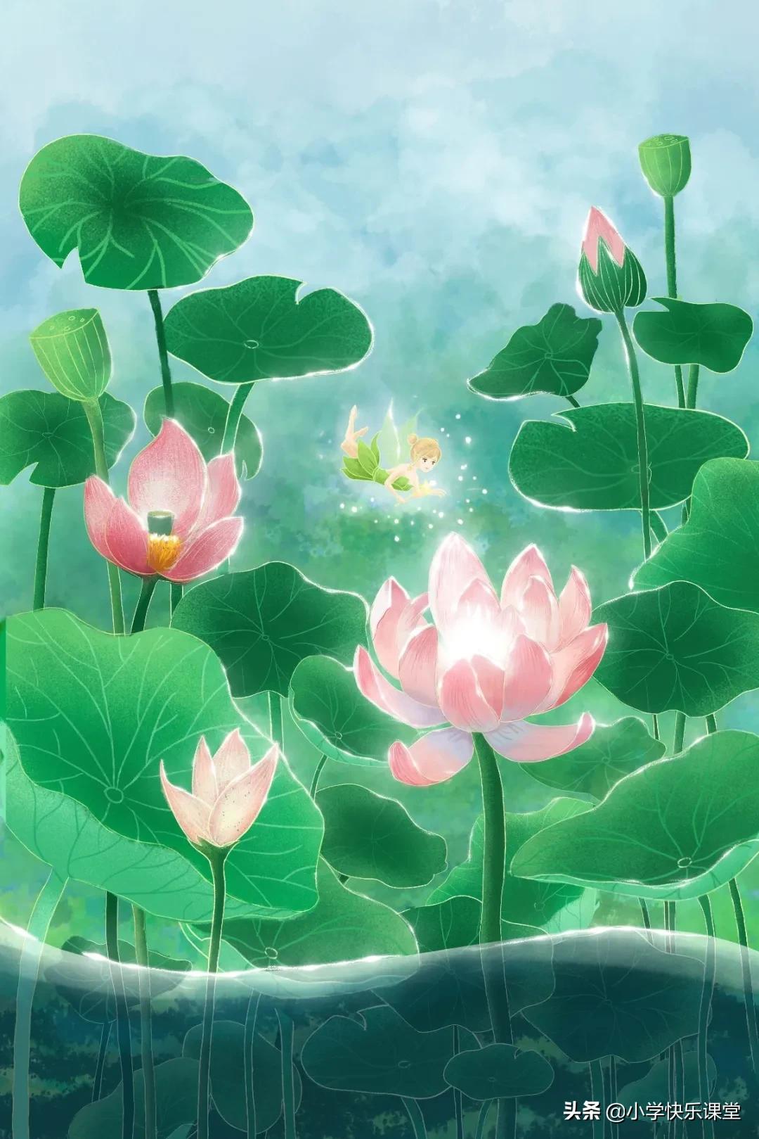 描写荷花的作文300字三年级的,摘抄课文荷花的好词好句