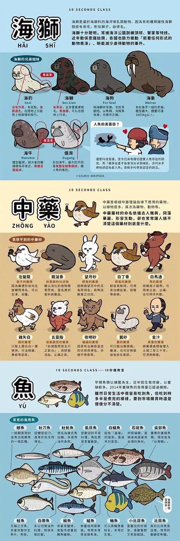 二次元科普视频全集,二次元科普视频讲解