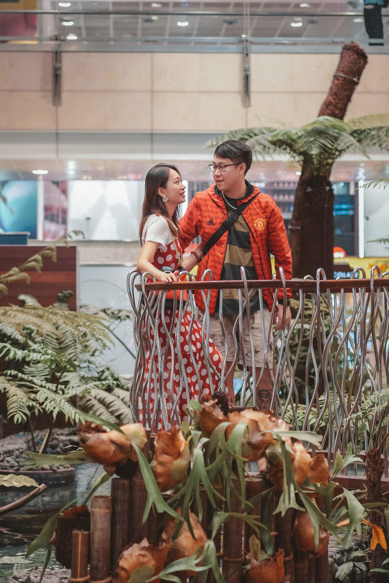 一人一猫环游,一人一猫旅行