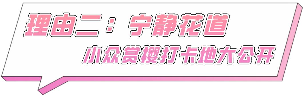 上海的热搜,最近热搜的上海