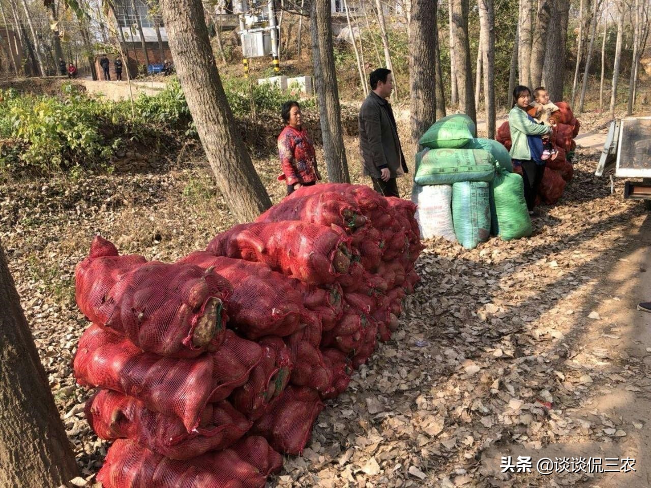 返乡创业好项目,返乡创业什么最赚钱