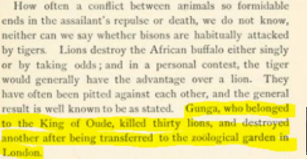 最大的狮子把老虎杀死,老虎杀死狮子