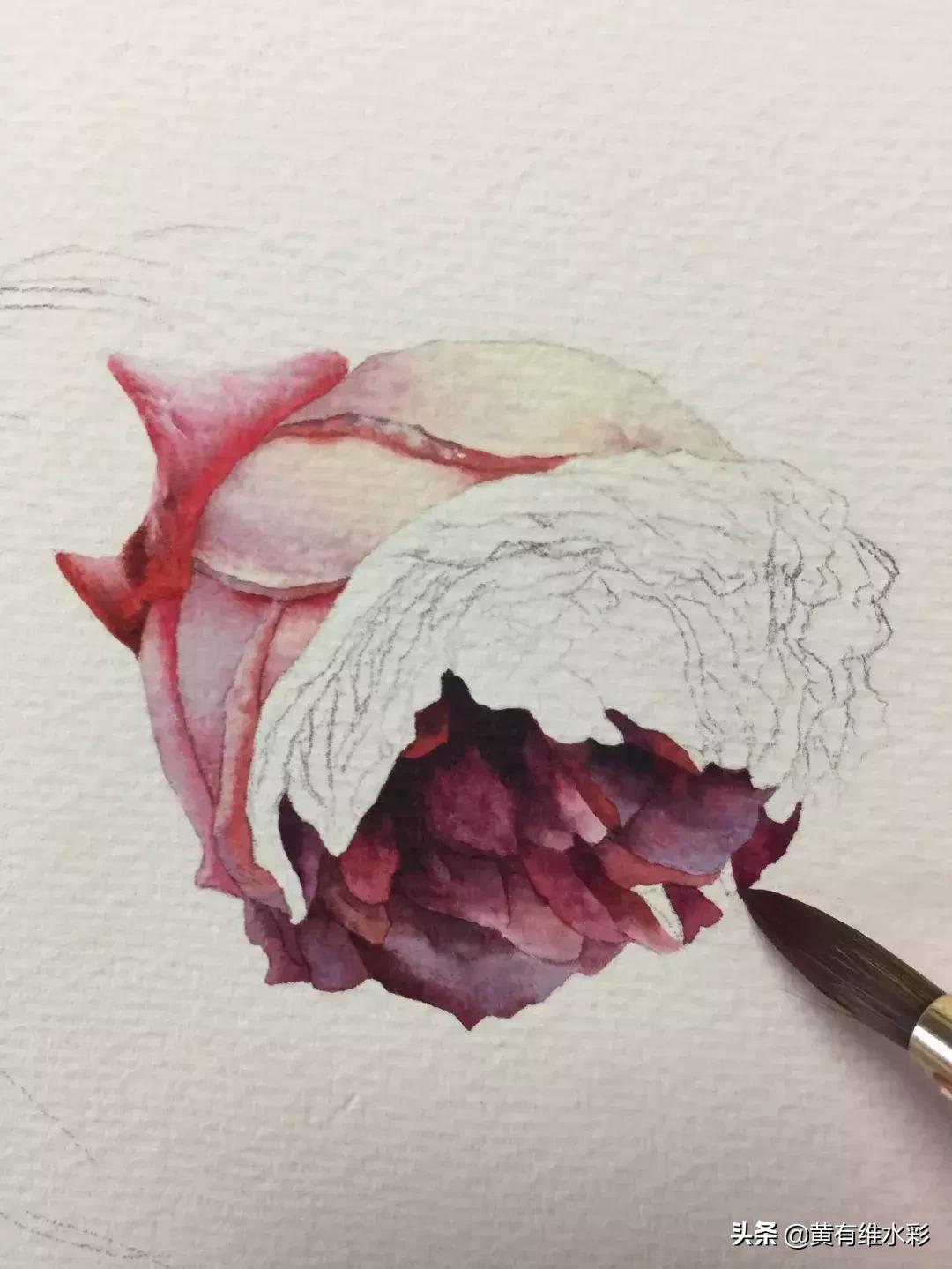 33朵玫瑰制作全过程,英伦花教程