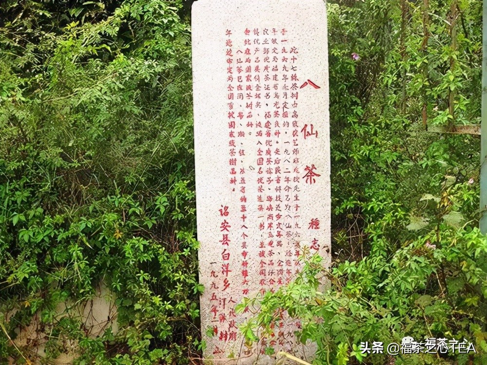 福建最好的茶叶有哪些,福建有哪些茶叶比较好