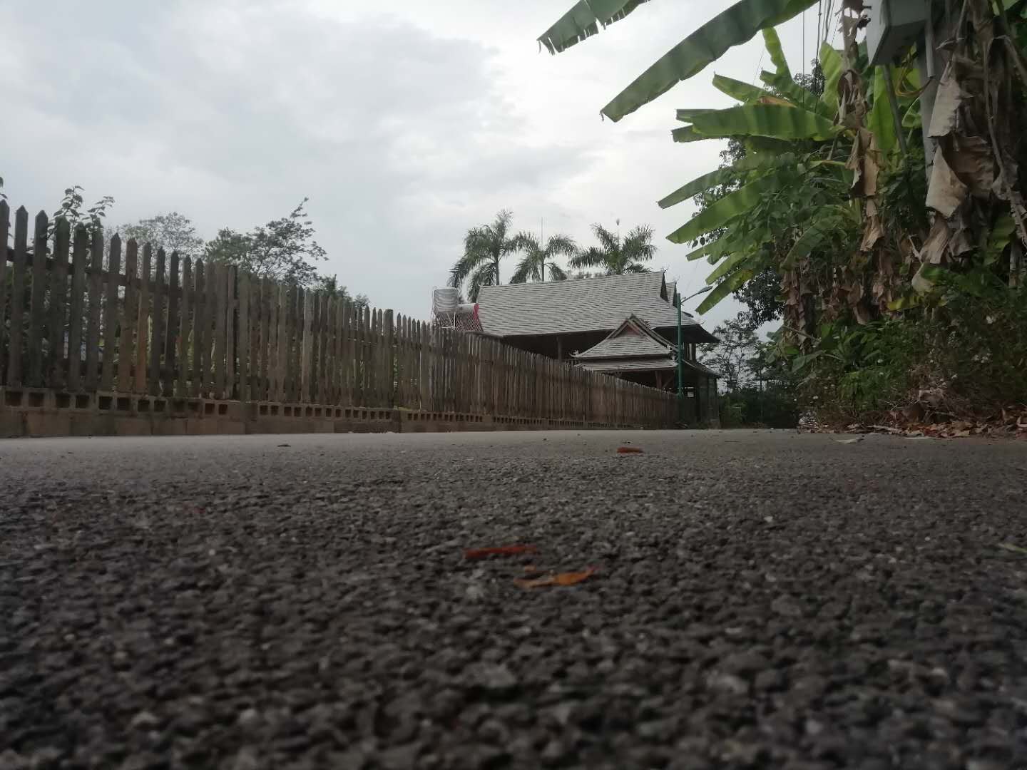 西双版纳原始森林向往的生活,西双版纳傣族向往的生活