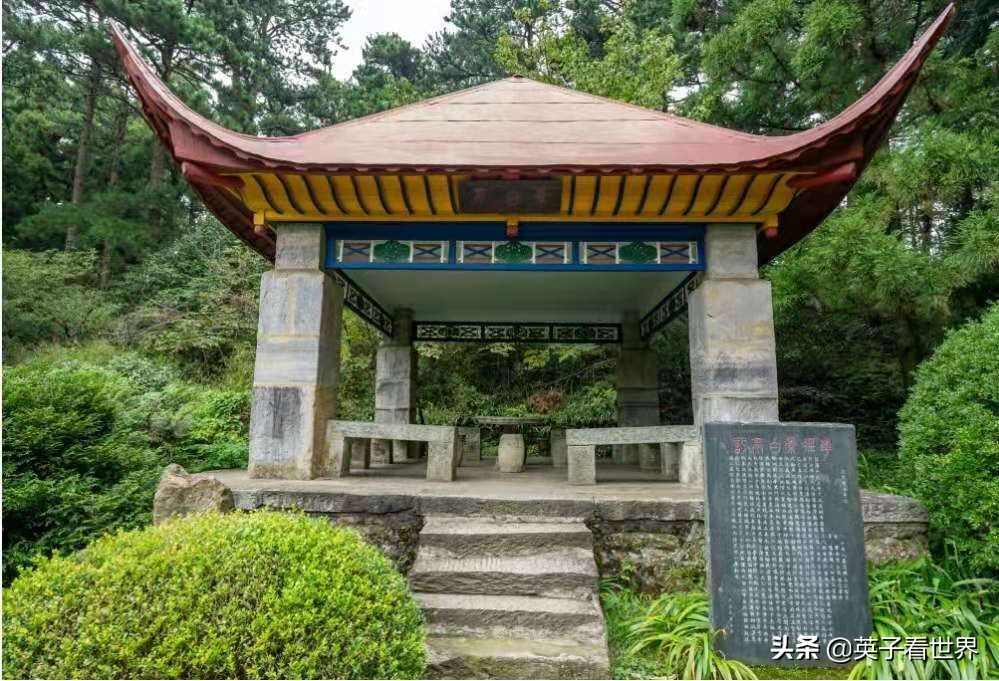 庐山三如琴湖,不识庐山真面目