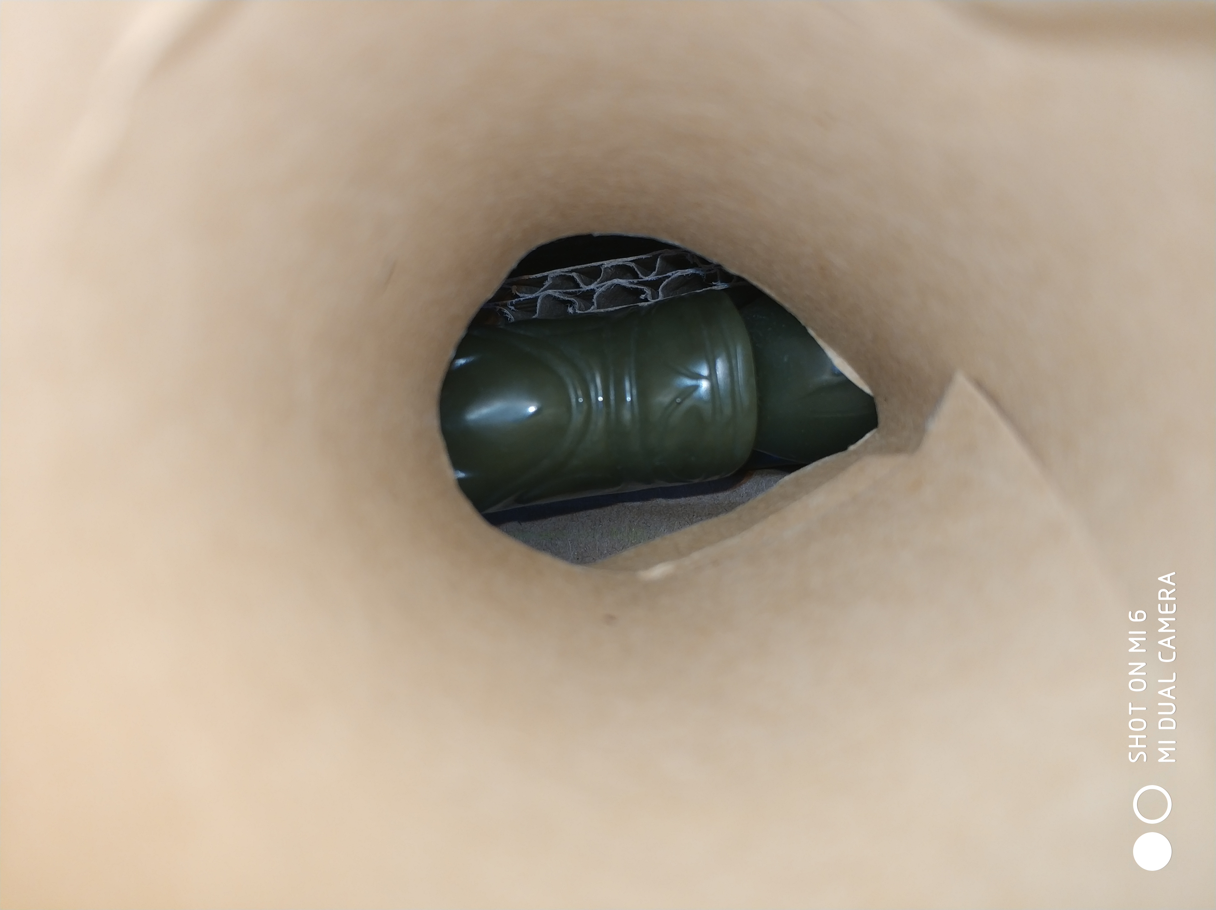 中国龙原型,中国龙的原型是什么