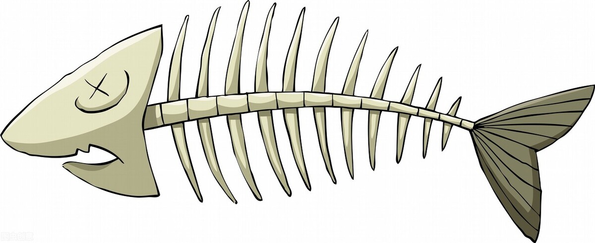 海鲜摊主“阅鱼”无数，但一次鱼刺扎伤让他“*工罢**”大半年