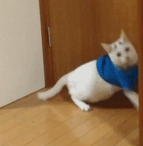 “液体”做的猫究竟可以拉多长？得知真相后，网友纷纷直言：变态