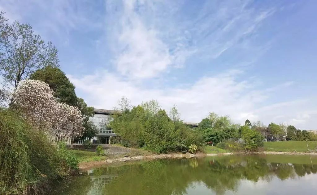 东软，青城山下最大的养老院型综合网吧