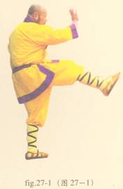 少林护心意门拳全套演示,少林拳长护心意门拳介绍