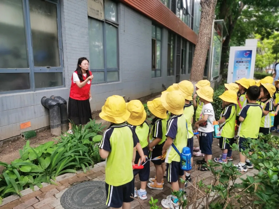 如何巩固创建卫生镇工作成果,巩固国家卫生城市共建美丽家园