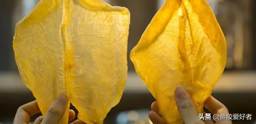 花胶最高级的做法,花胶选法