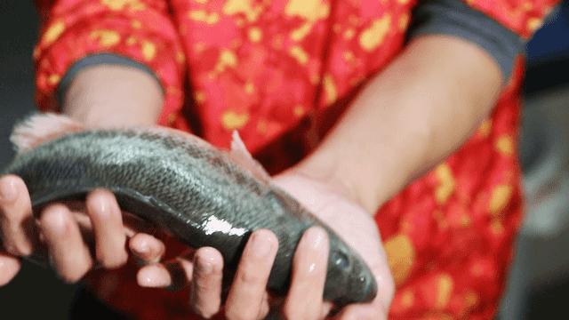 别再说禄鼎记变了,它只是“骚”出花样了