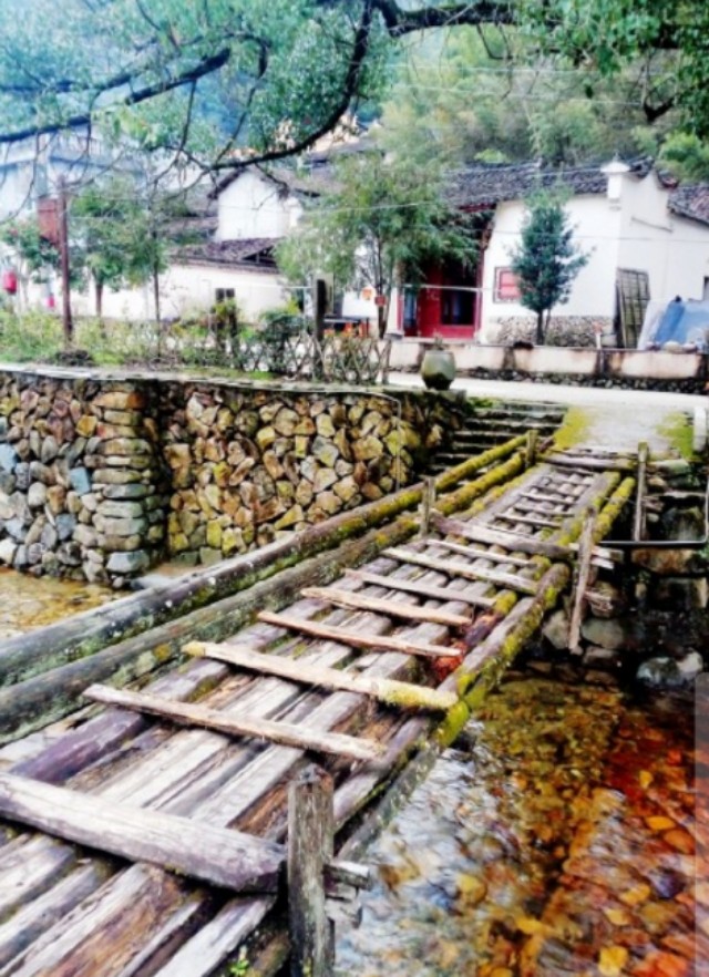浙江传统村落:松阳李坑村,被美誉为生态旅游,绿色氧吧的村落