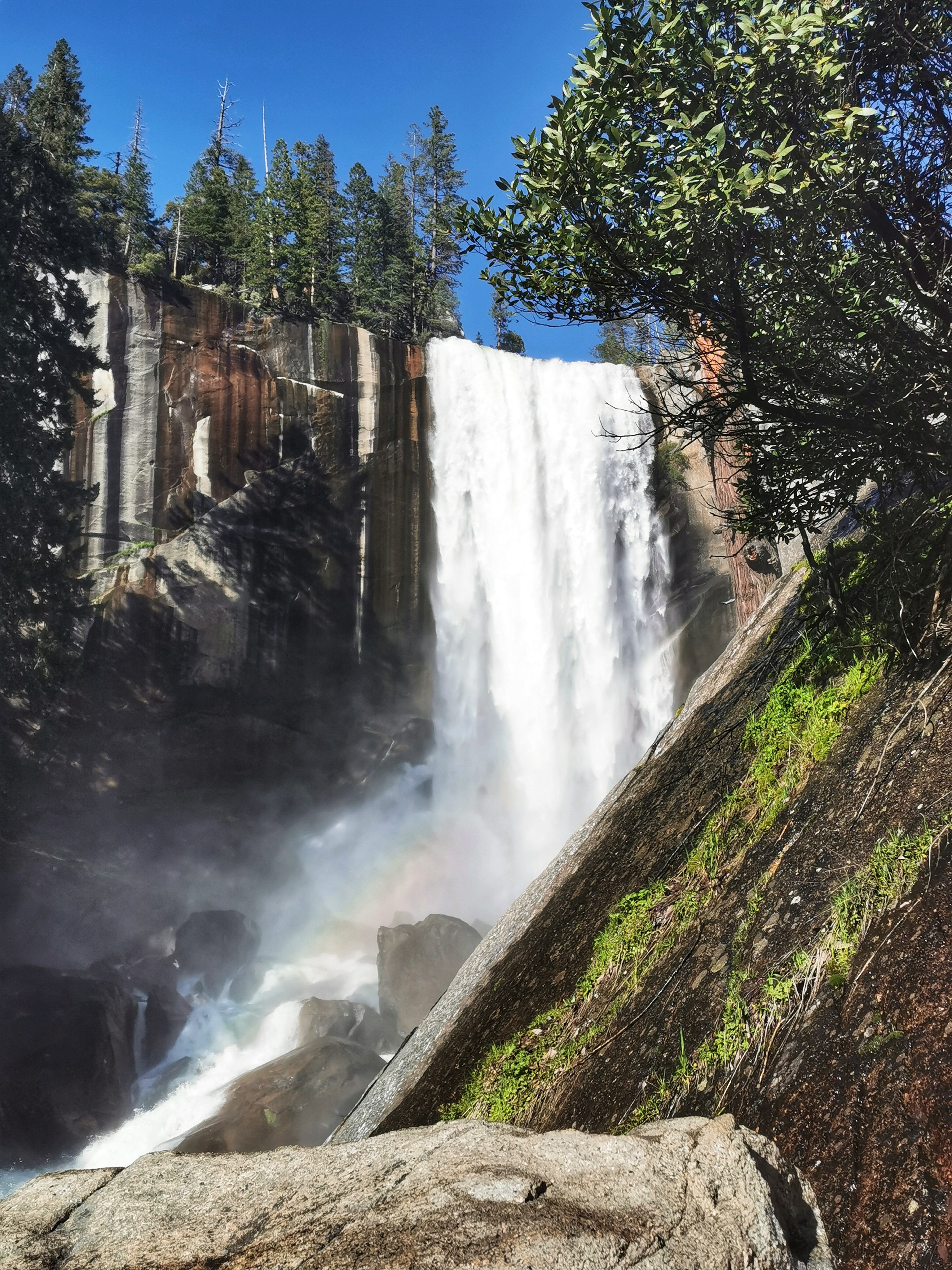 加利福尼亚优胜美地,美国旧金山优胜美地