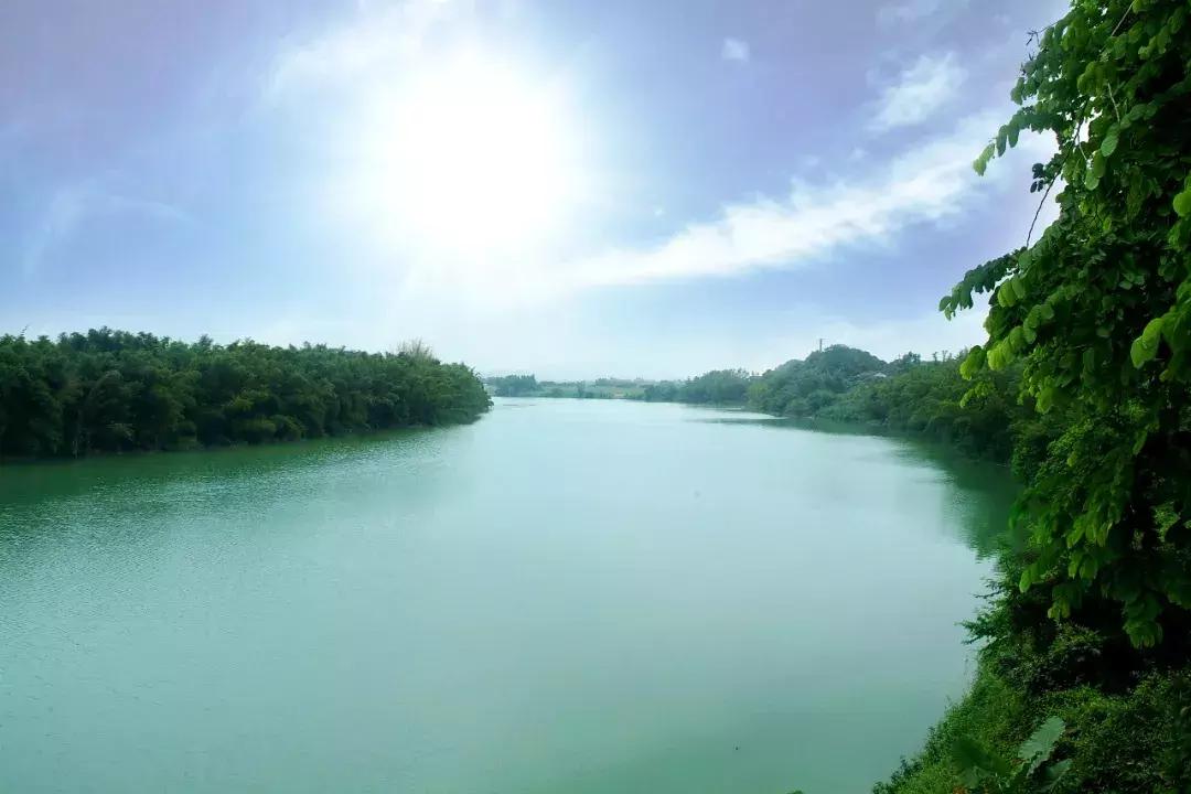 广东适合度假的酒店推荐含自助餐,广州度假酒店推荐三天两晚