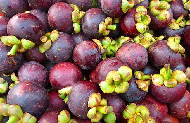 山竹怎么选才是最好的,买山竹怎么挑又甜又熟