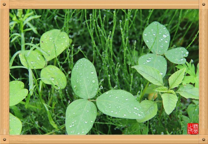 本溪南芬大峡谷游玩攻略,本溪南芬大峡谷一日游价格表