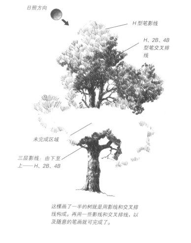 外国艺术家看中国水墨画,外国艺术家看中国画