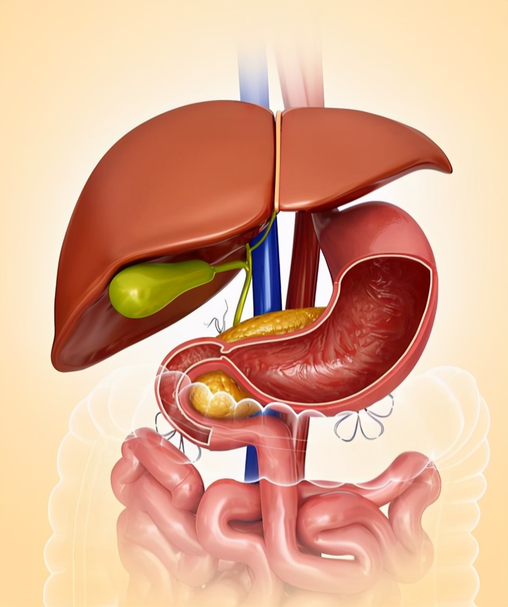 肝豆状核变性属于特殊慢性病吗,肝豆状核变性的罕见病
