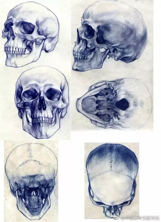 优质素描,优质素描静物