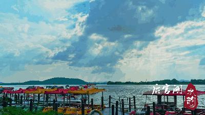 武汉蔡甸后官湖湿地公园,武汉后官湖湿地公园门票