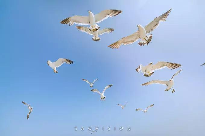 一生必去的中国50个最美原图,一生必去40个中国最美地方