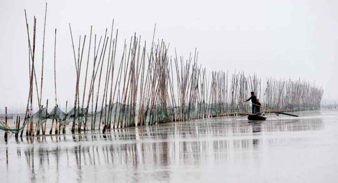 各种蒸菜怎么蒸好吃,蒸蒸菜的正确蒸法