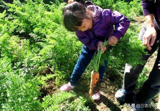 农村创业好项目投资少见效快,农村无需投资的创业项目