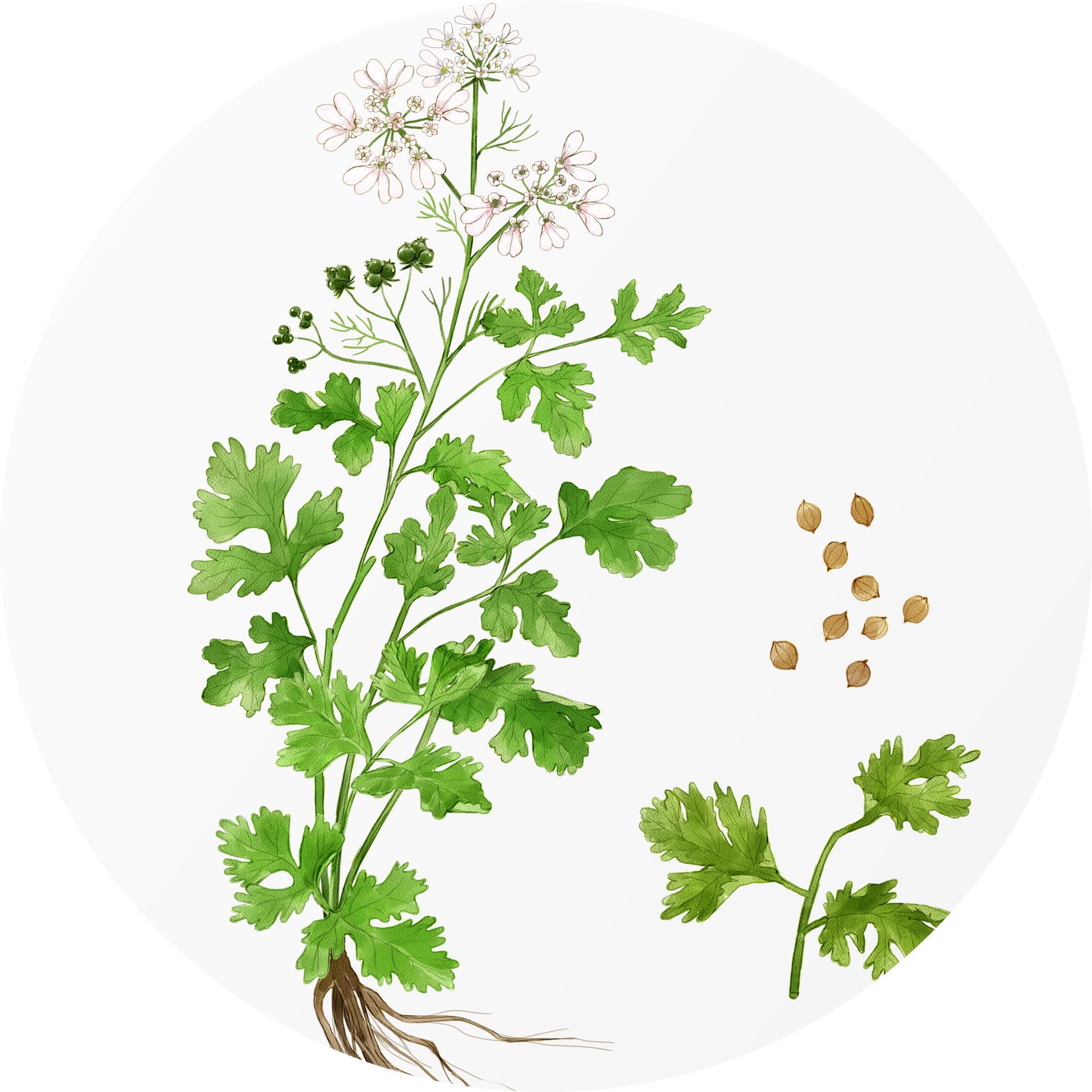 孩子不爱吃鱼有什么影响,孩子不爱吃鱼做什么菜