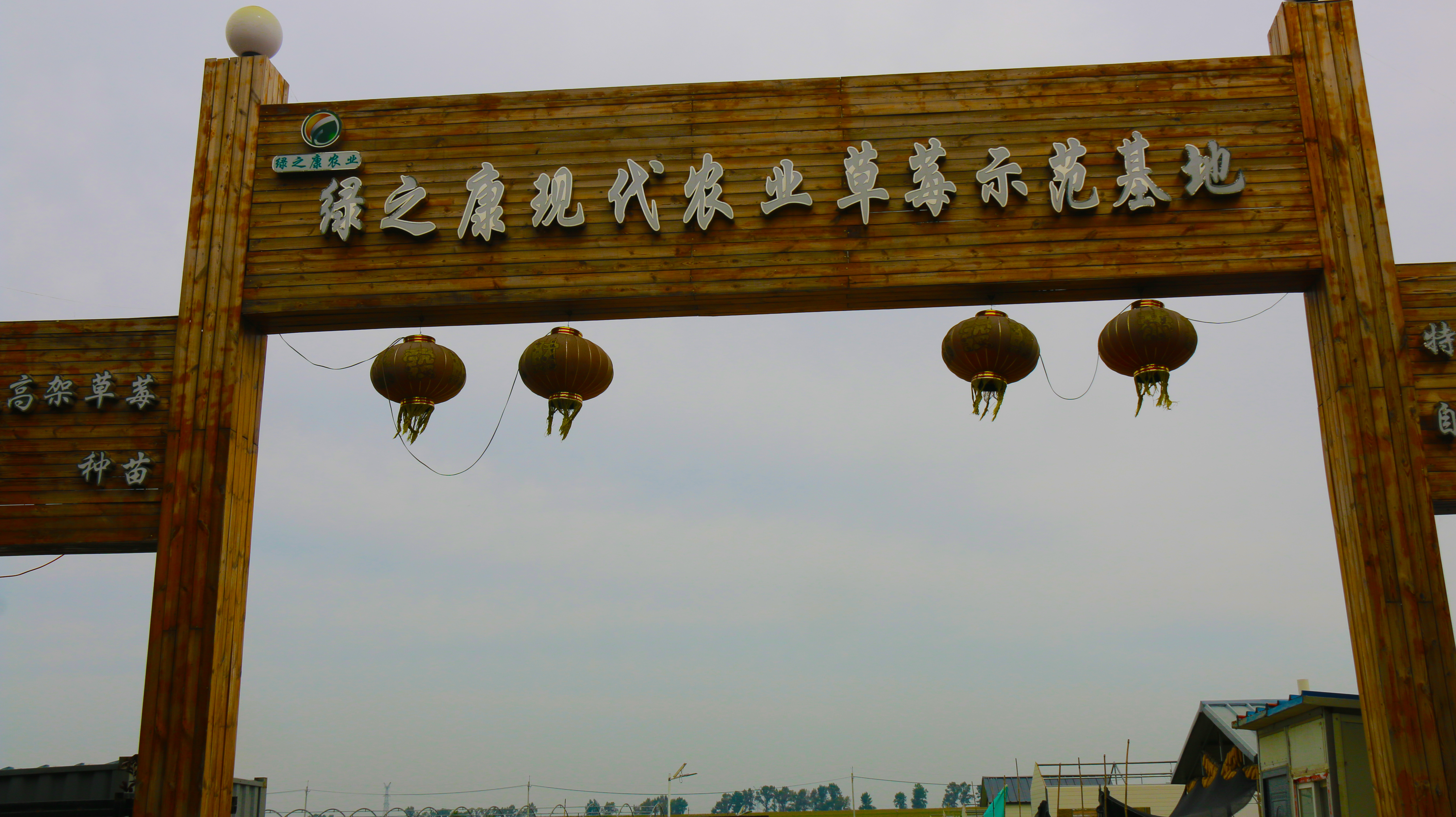 赏景采摘,取乐相伴——访倍吉农业科技有限公司技术总监朴才星