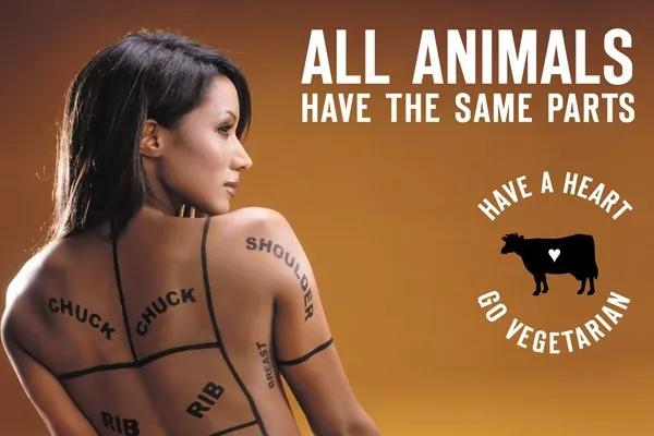 女权，LGBT，黑人，政治正确的江湖中，谁才是王者？