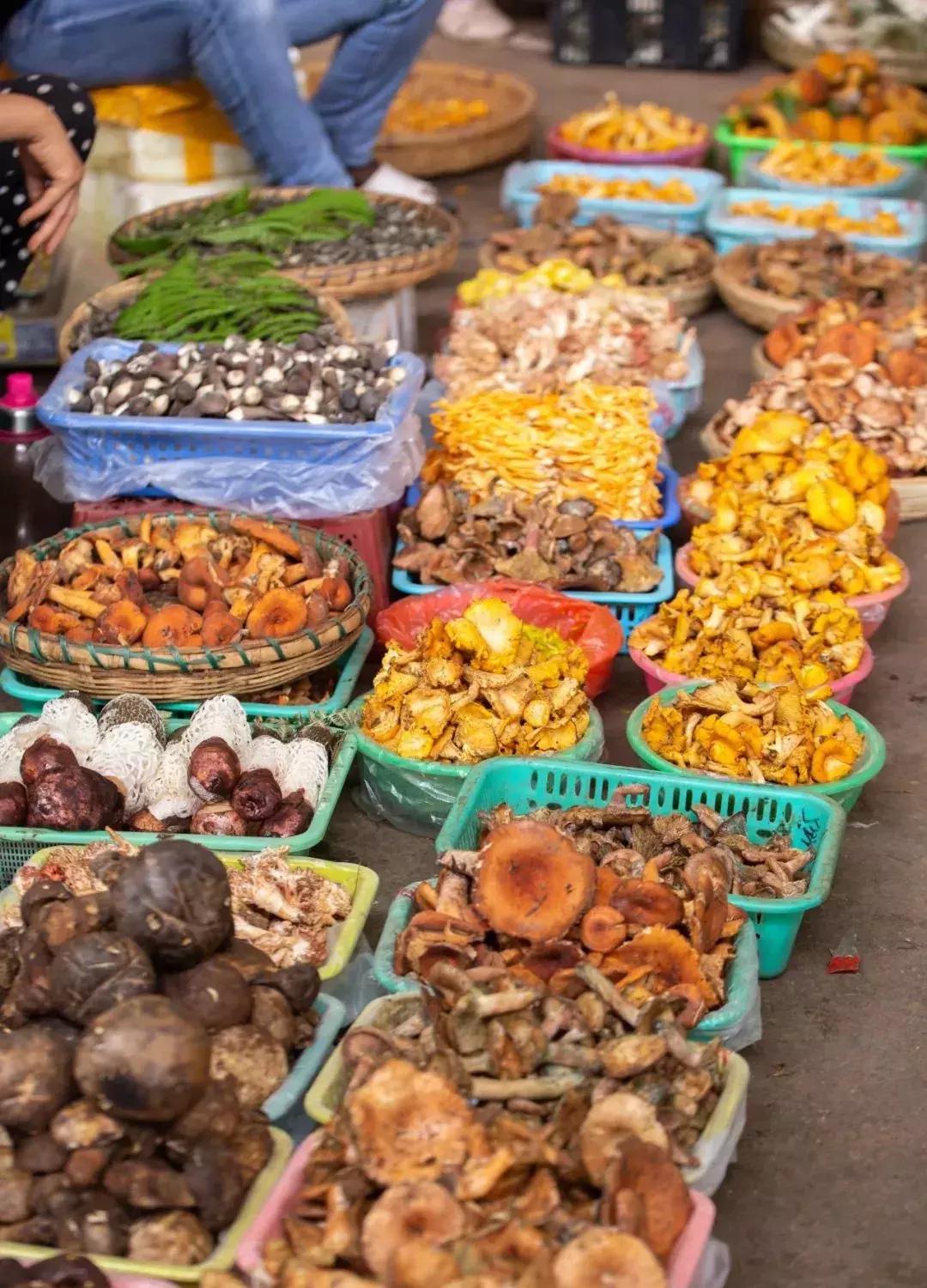 2020年八月特价机票成都,特价机票80元去成都