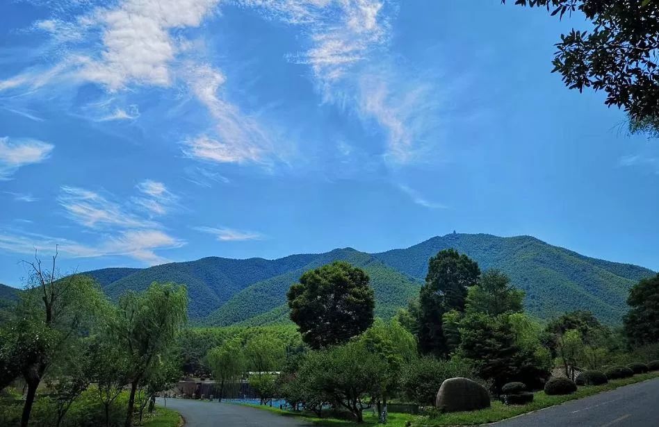 叮咚邀请函请注意查收,叮咚邀请函查收