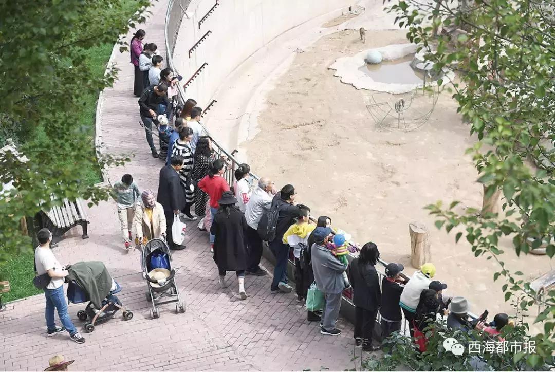这个小长假，西宁人又玩出新花样
