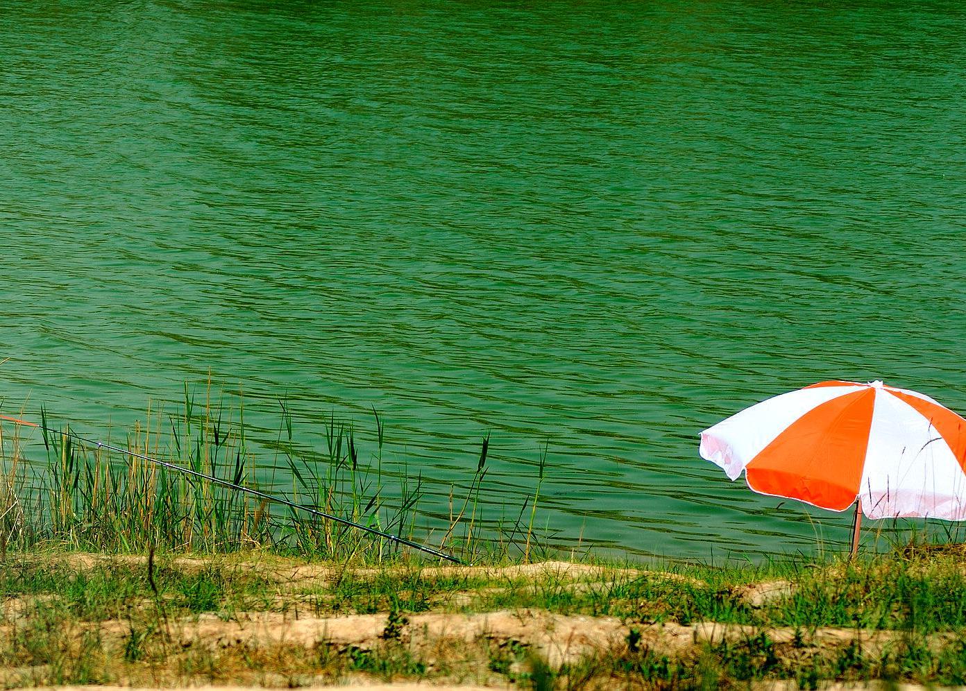 武汉周边赏花踏青好去处,武汉赏樱花旅游攻略