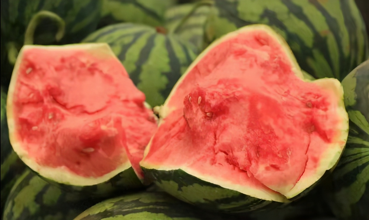 西瓜是几月份种植几月份收获,8424露地西瓜的种植时间与方法