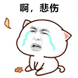 等待签证的日子真是煎熬,终于拿到了期盼已久的签证