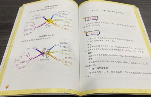 思维导图书籍推荐小学生四年级,思维导图课外书简单易学