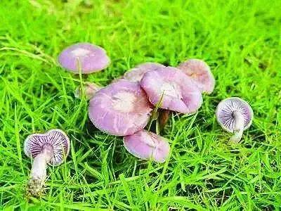 假期过后带特产回家,假期归来有好物