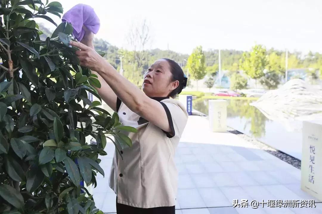 国瑞阳光物业有限公司怎么样,记录国瑞阳光物业