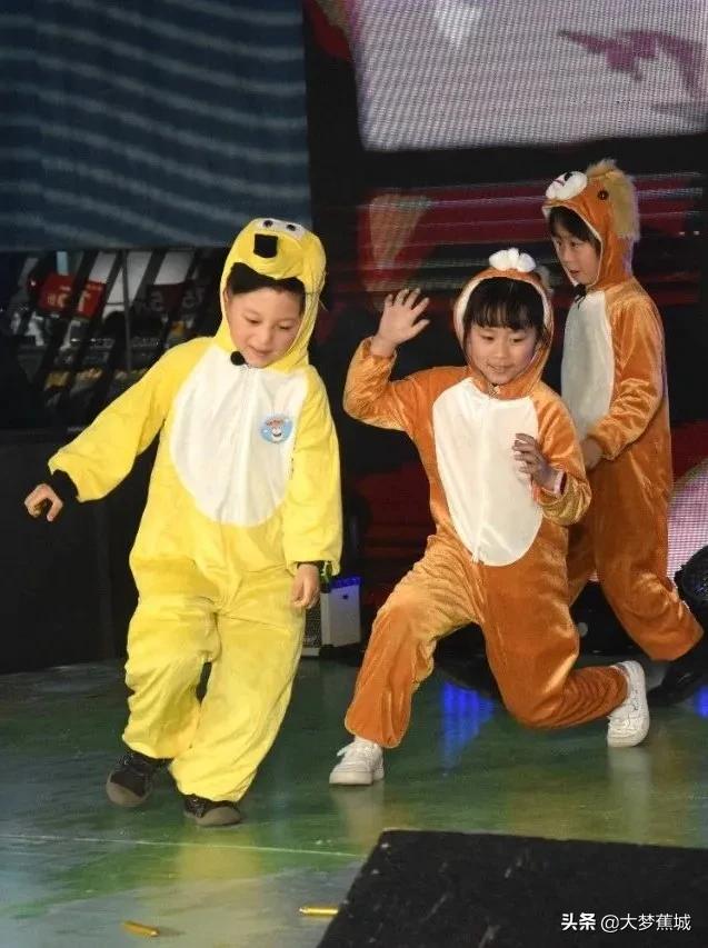 领养动物代替购买,关爱流浪动物让领养代替购买