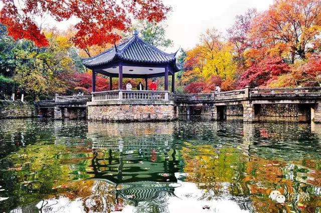 何必去远方原唱视频,何必去远方京都在左常熟在右